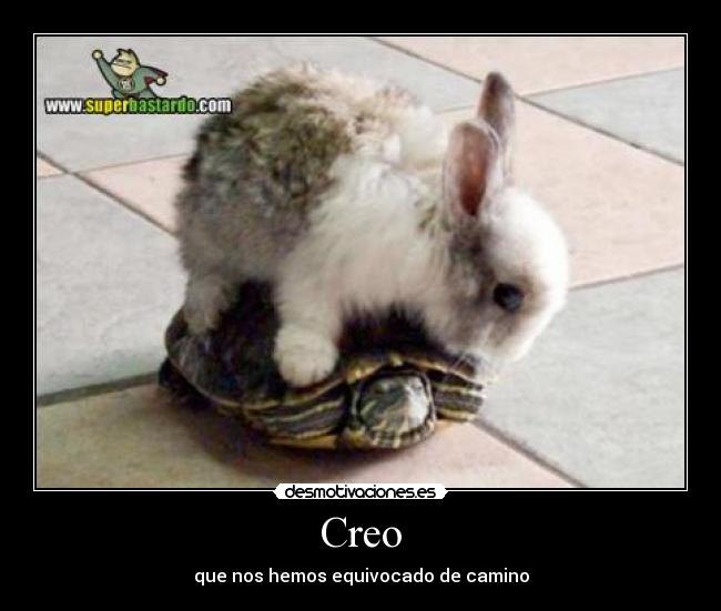 Creo - que nos hemos equivocado de camino