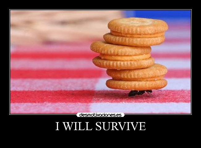 I WILL SURVIVE - 