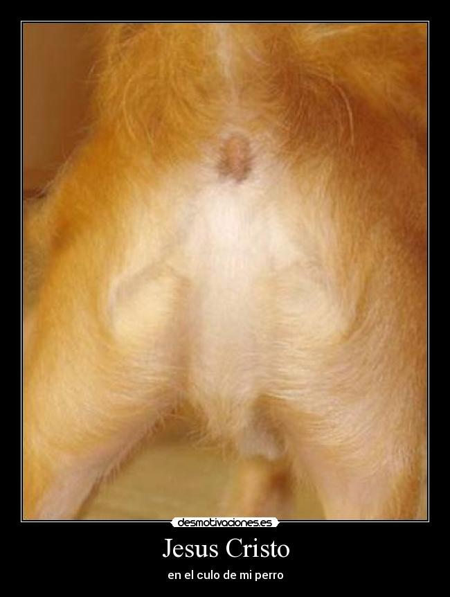 Jesus Cristo -