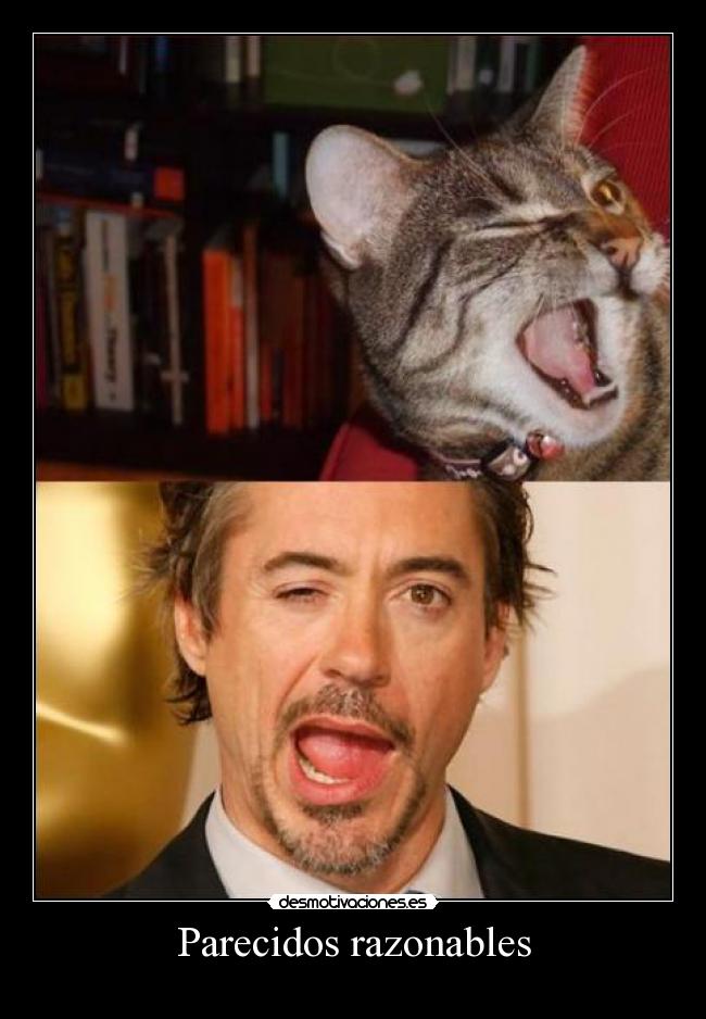 Parecidos razonables - 
