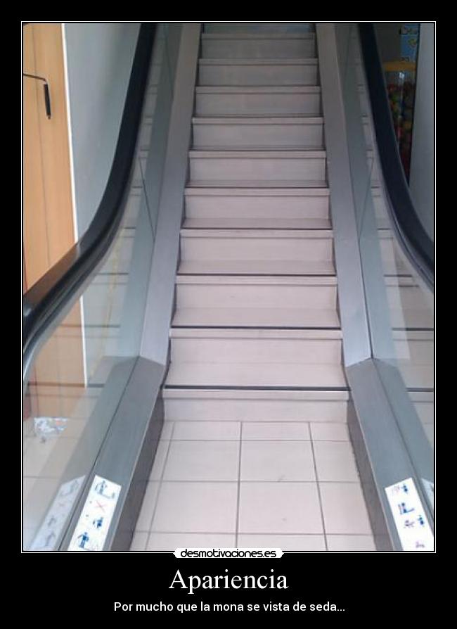 Apariencia - Por mucho que la mona se vista de seda...