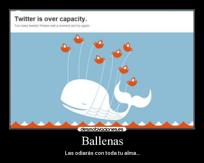 Ballenas - 