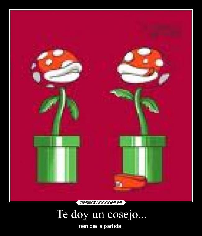 Te doy un cosejo... - 