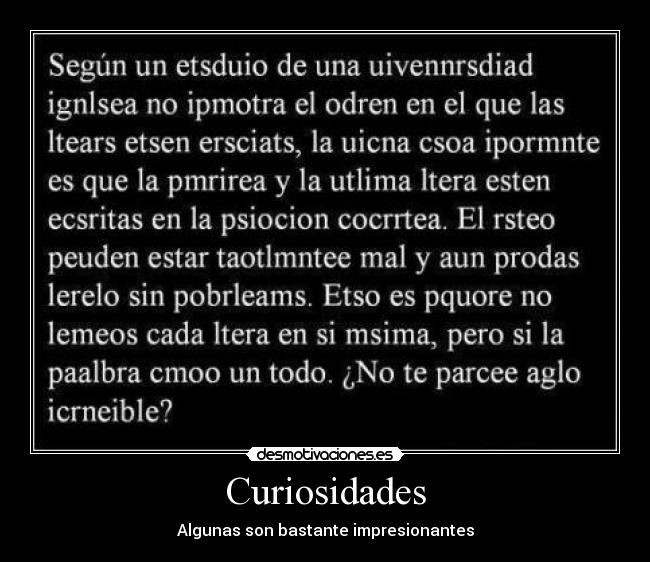 Curiosidades - 