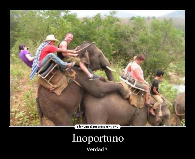 Inoportuno - Verdad ?