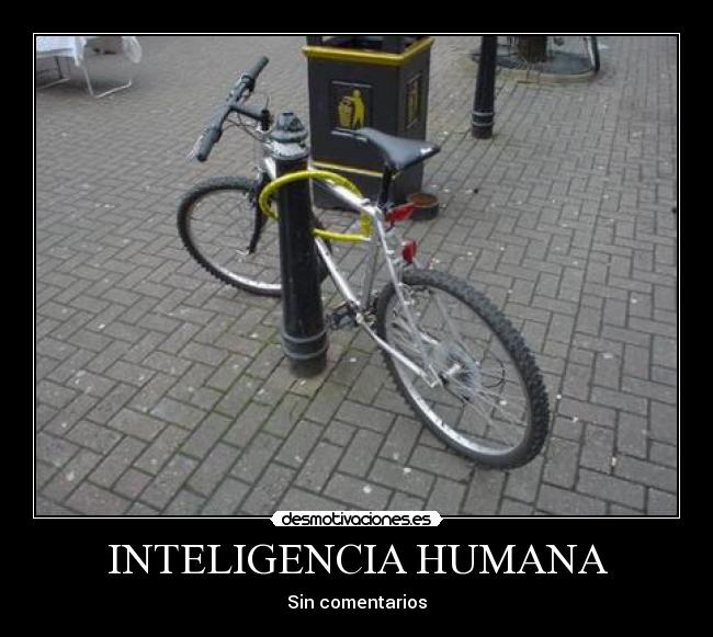 INTELIGENCIA HUMANA - 