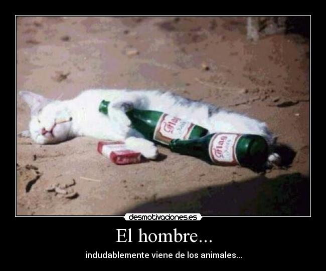 El hombre... - indudablemente viene de los animales...