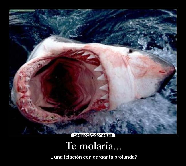 carteles tiburon felacion garganta profunda risas comedia desmotivaciones