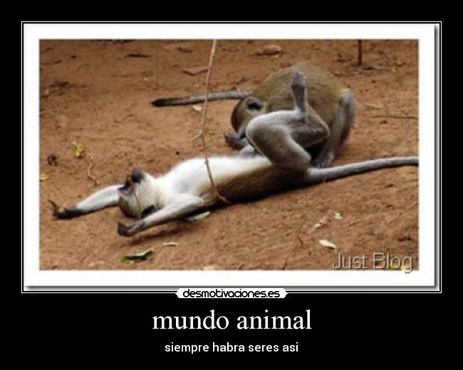 carteles mundo desmotivaciones