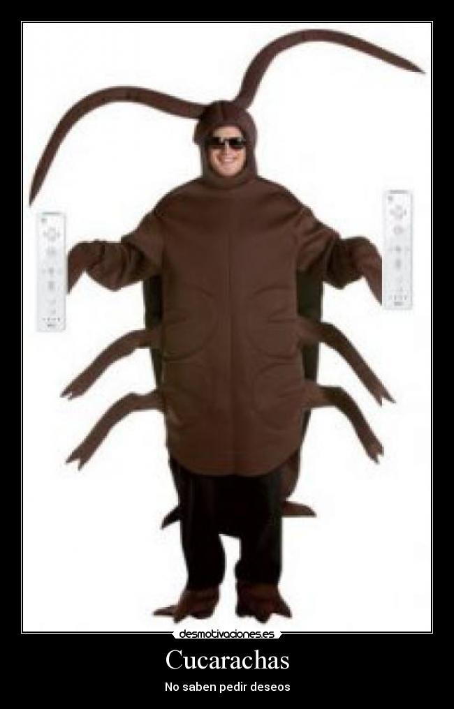 Cucarachas - No saben pedir deseos