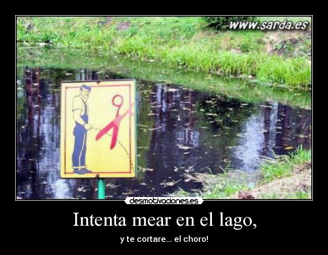 Intenta mear en el lago, -