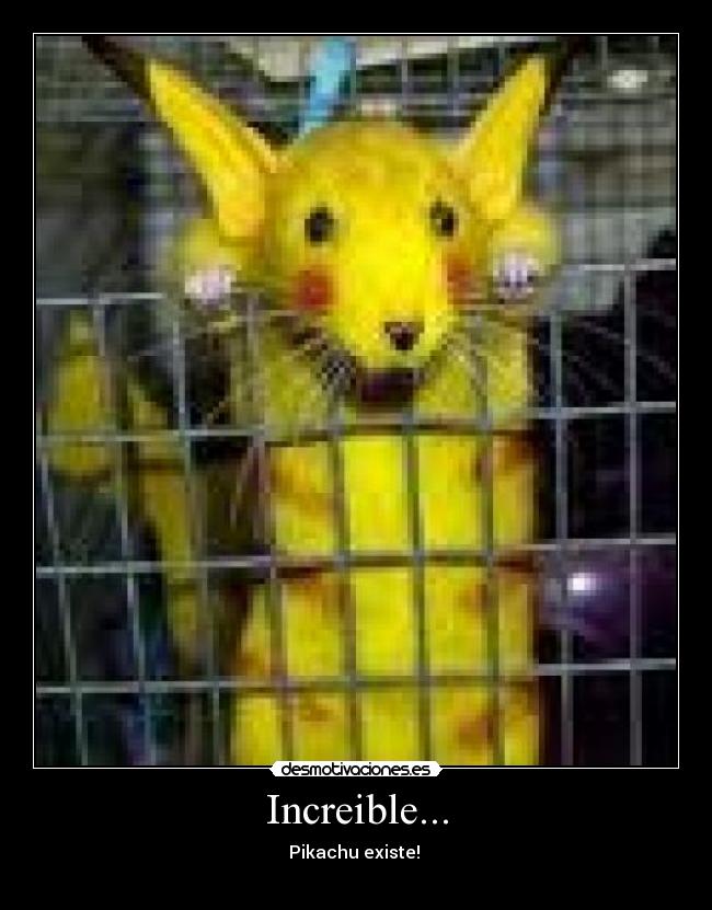 Increible... - Pikachu existe!