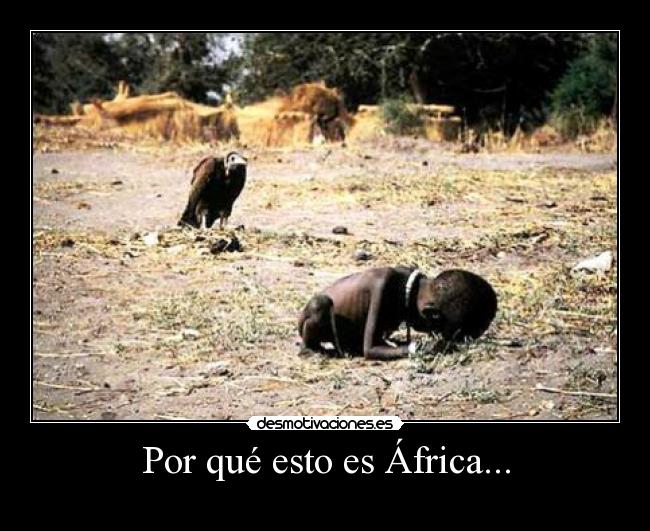 Por qué esto es África... - 