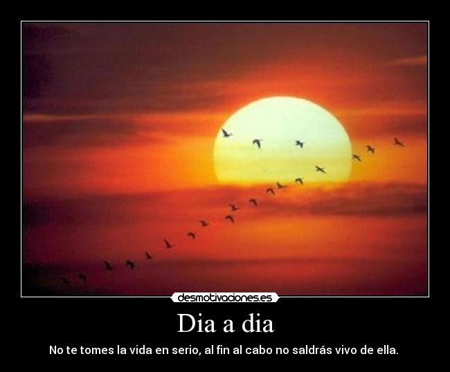 Dia a dia -