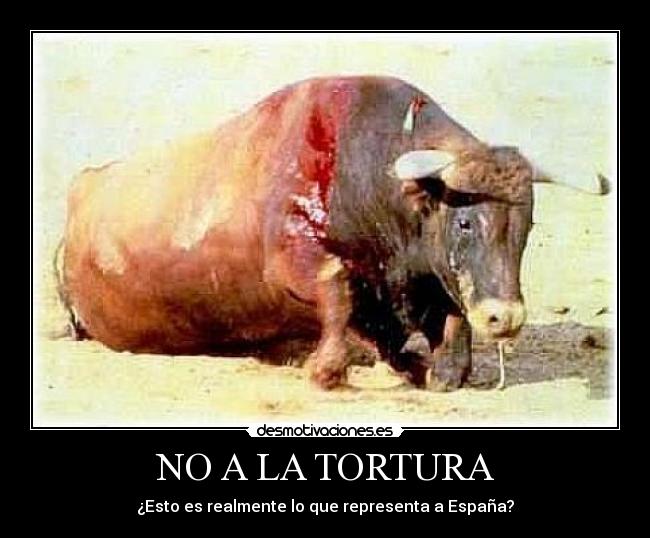 NO A LA TORTURA - 
