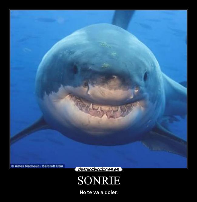 SONRIE -