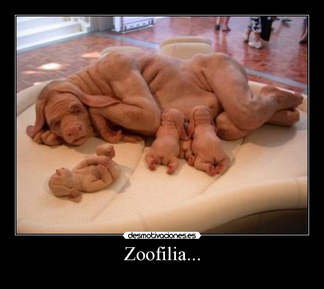 Zoofilia... -