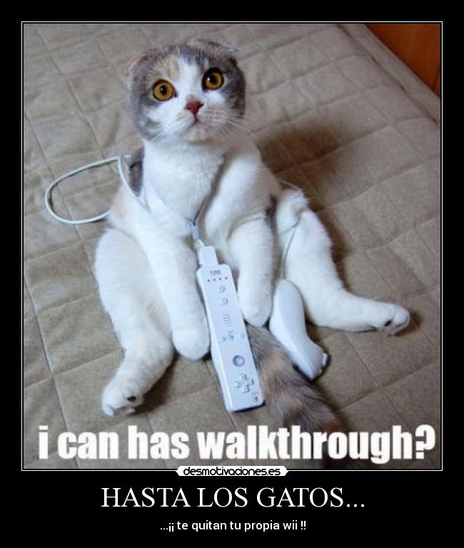 HASTA LOS GATOS... - 