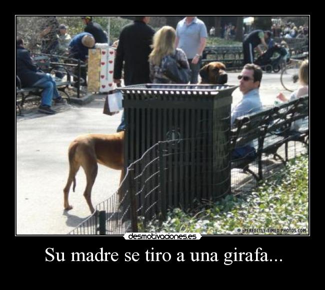 Su madre se tiro a una girafa... -