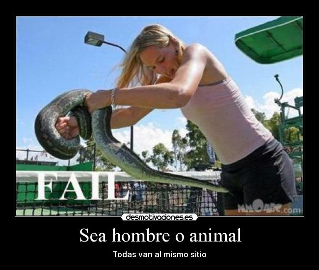 Sea hombre o animal -