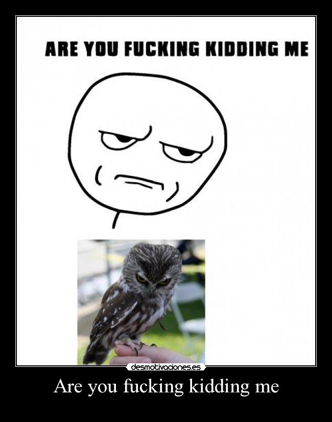 Are you fucking kidding me -