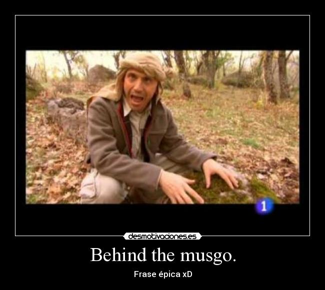 Behind the musgo. - 