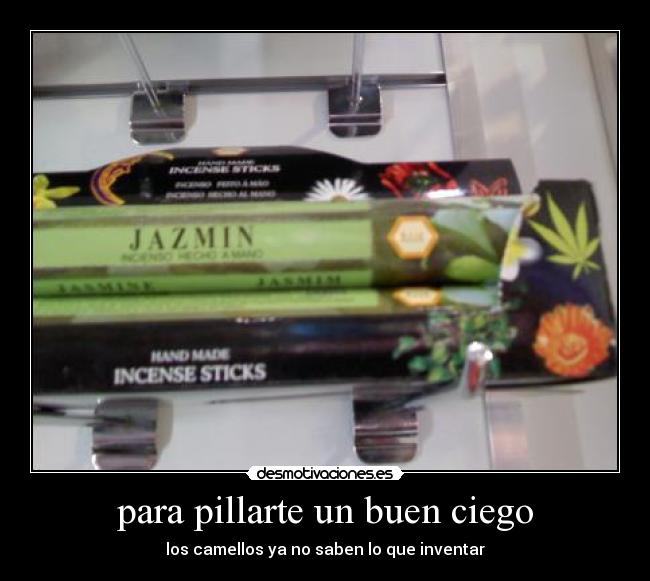 para pillarte un buen ciego - los camellos ya no saben lo que inventar