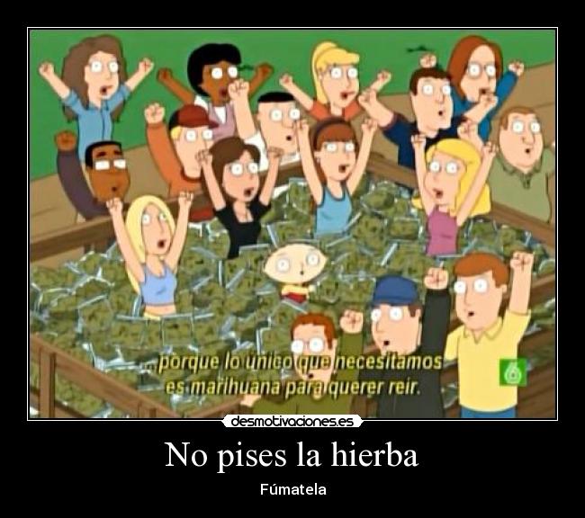 No pises la hierba -