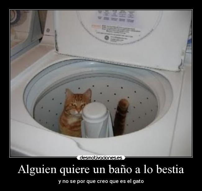 Alguien quiere un baño a lo bestia -