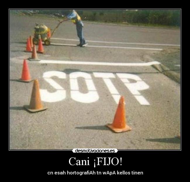 Cani ¡FIJO! -