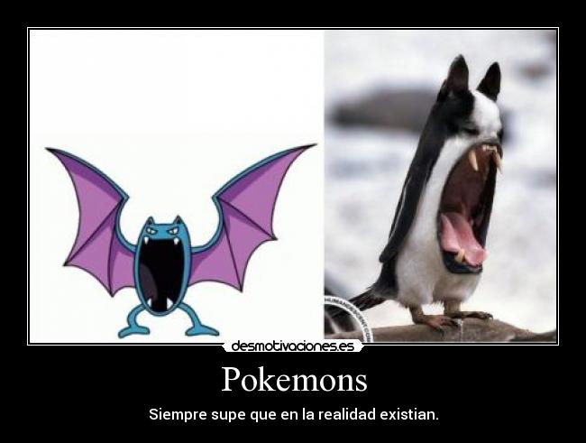 Pokemons - Siempre supe que en la realidad existian.