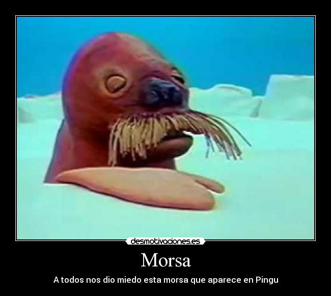 Morsa - A todos nos dio miedo esta morsa que aparece en Pingu