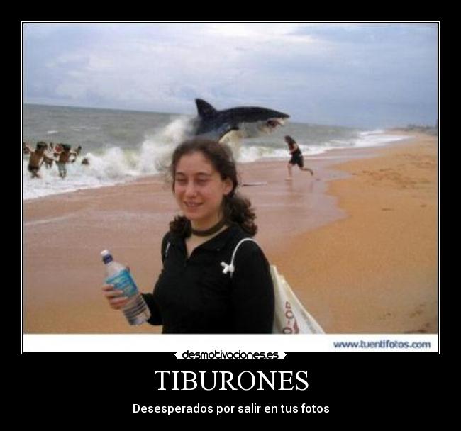 TIBURONES -