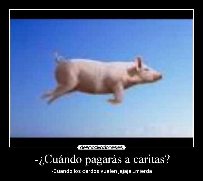 -¿Cuándo pagarás a caritas? - 