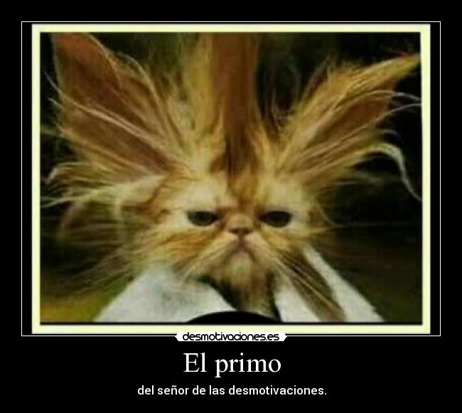 El primo -