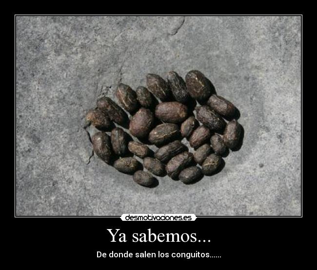 Ya sabemos... - 