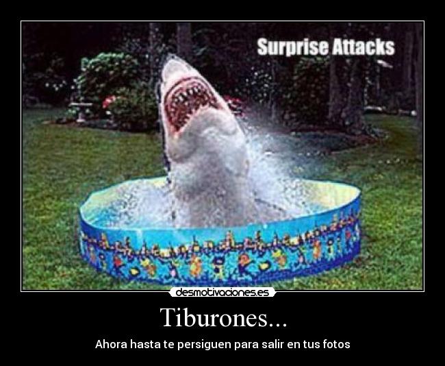 Tiburones... -
