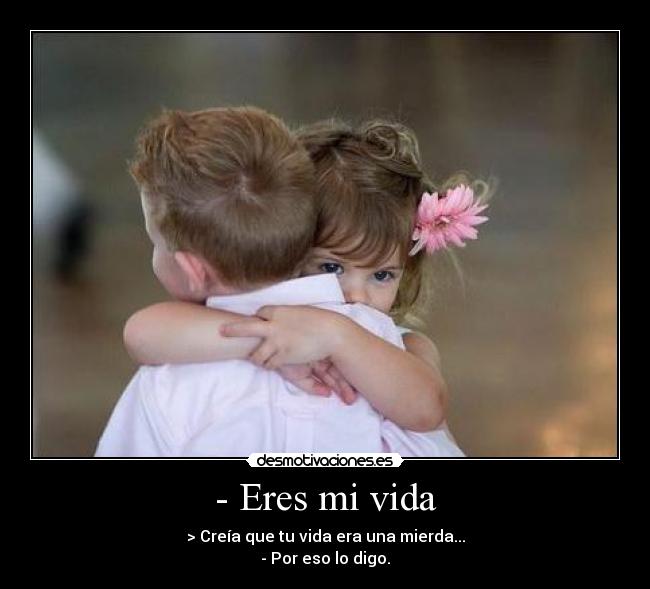 carteles vida vida mierda creia por eso digo eres amor desamor desmotivaciones