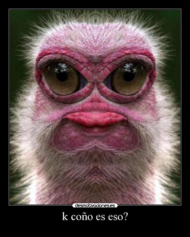 k coño es eso? - 