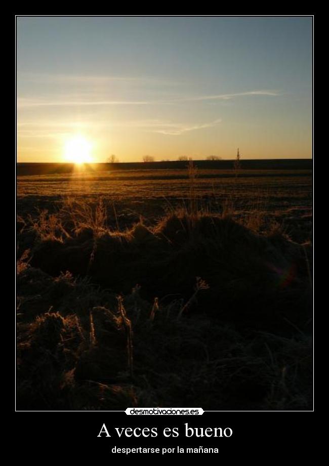 carteles desmotivaciones