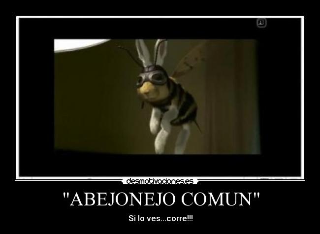 ABEJONEJO COMUN - Si lo ves...corre!!!