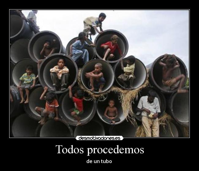 Todos procedemos - de un tubo