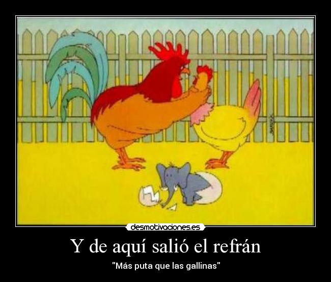 Y de aquí salió el refrán -