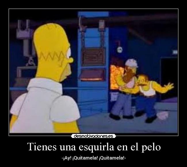 Tienes una esquirla en el pelo -