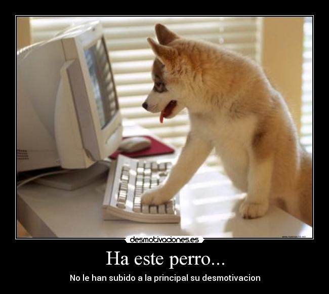 Ha este perro... - No le han subido a la principal su desmotivacion