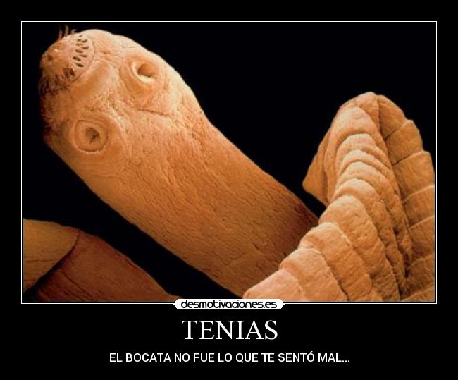 TENIAS - 