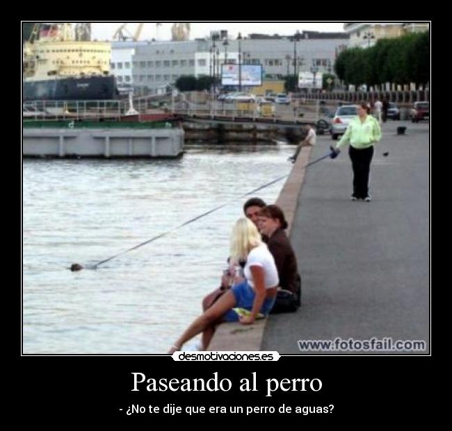 Paseando al perro - - ¿No te dije que era un perro de aguas?