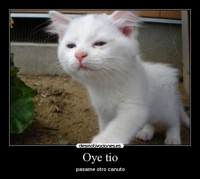 Oye tio -
