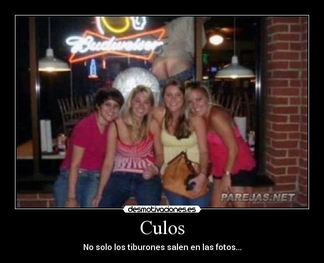 Culos - 