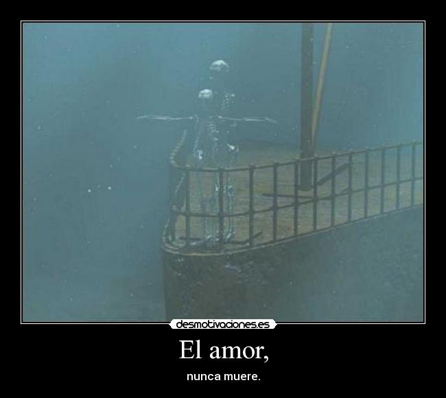 carteles amor amor nunca muere desmotivaciones
